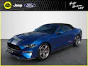 Ford Mustang 5.0 V8 California Special