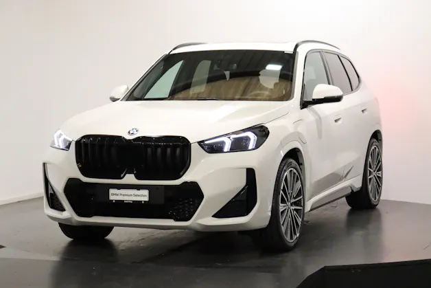 BMW X1 30e xDrive paddles