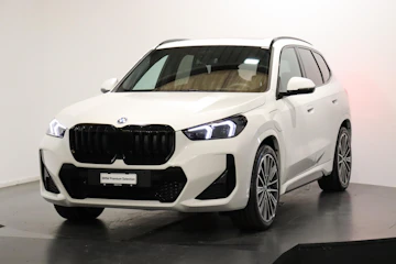 Fahrzeugbild BMW X1 30e xDrive paddles