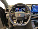 Cupra Terramar 2.0 TSI VZ 4Drive DSG
