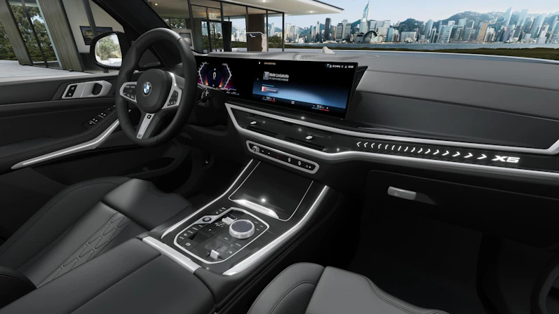 Fahrzeugbild BMW X5