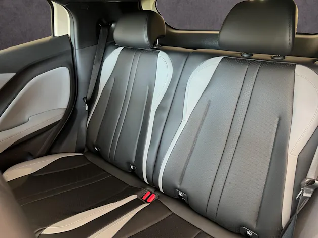 BYD Dolphin Surf Comfort