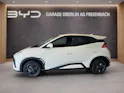 BYD Dolphin Surf Comfort