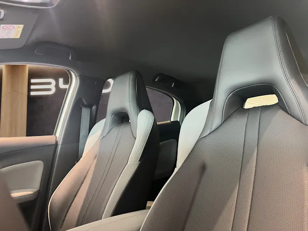 BYD Dolphin Surf Comfort