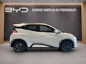 BYD Dolphin Surf Comfort