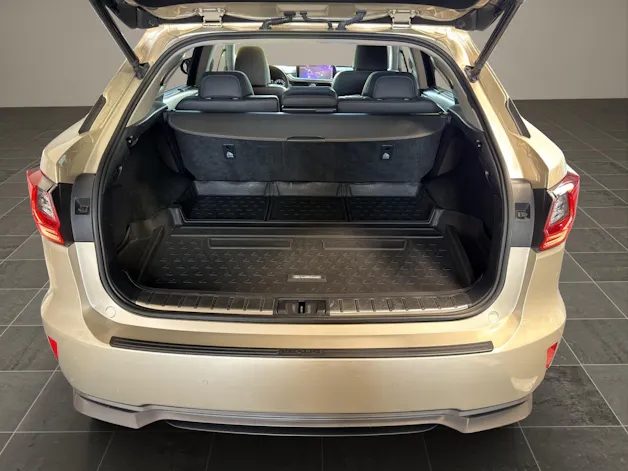 Lexus RX 450h Excellence