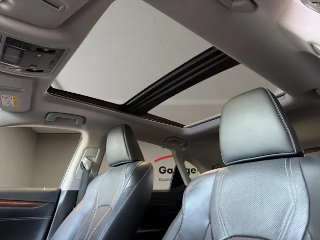 Lexus RX 450h Excellence