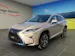 Lexus RX 450h Excellence