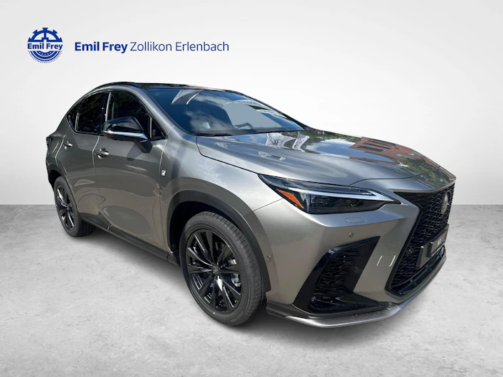 Fahrzeugbild LEXUS NX