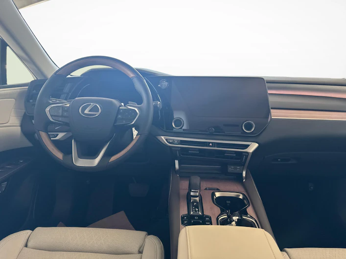 immagine del veicolo LEXUS RX