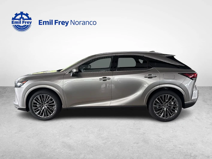 immagine del veicolo LEXUS RX