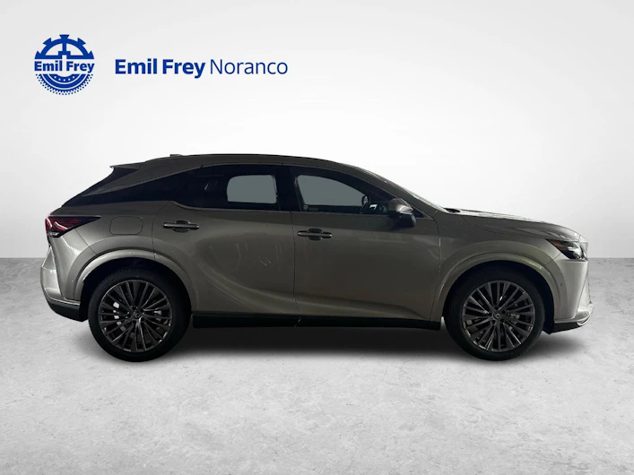 immagine del veicolo LEXUS RX