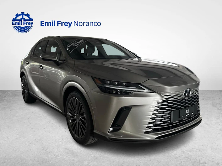 immagine del veicolo LEXUS RX