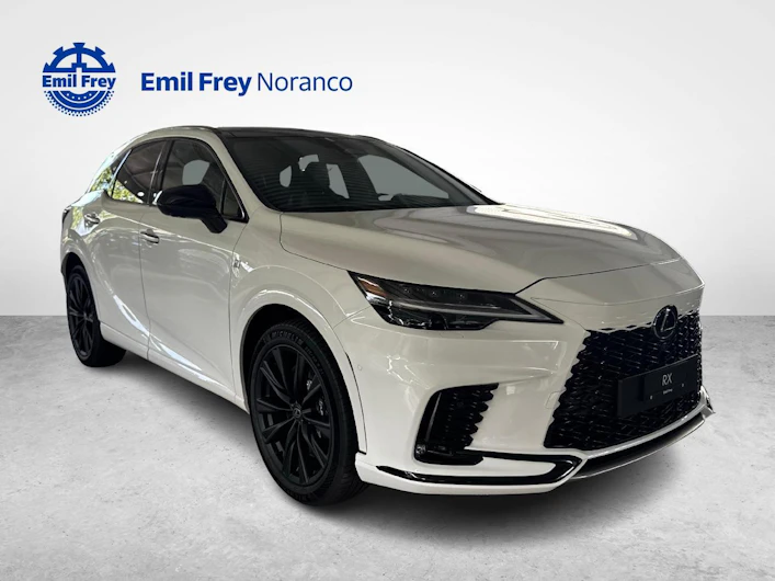 immagine del veicolo LEXUS RX