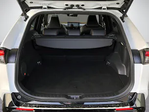Toyota RAV4 2.5 Plug-In-Hybrid Platinum