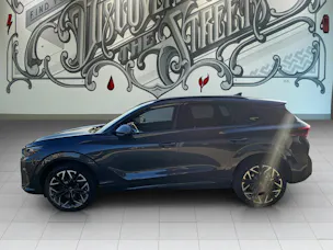 Cupra Terramar 2.0 TSI DSG 4Drive VZ
