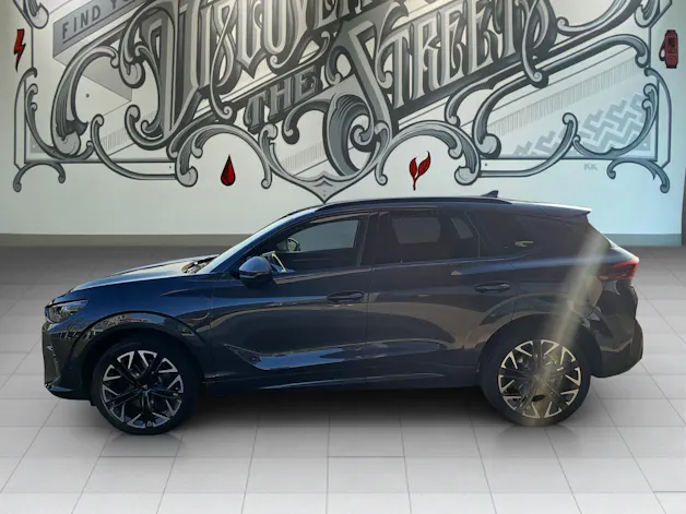Cupra Terramar 2.0 TSI DSG 4Drive VZ