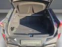 Cupra Terramar 2.0 TSI DSG 4Drive VZ