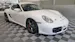 Porsche Cayman 987 CUP