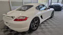Porsche Cayman 987 CUP