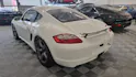 Porsche Cayman 987 CUP