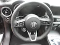 Alfa Romeo Stelvio 2.0 Veloce Q4 AT8