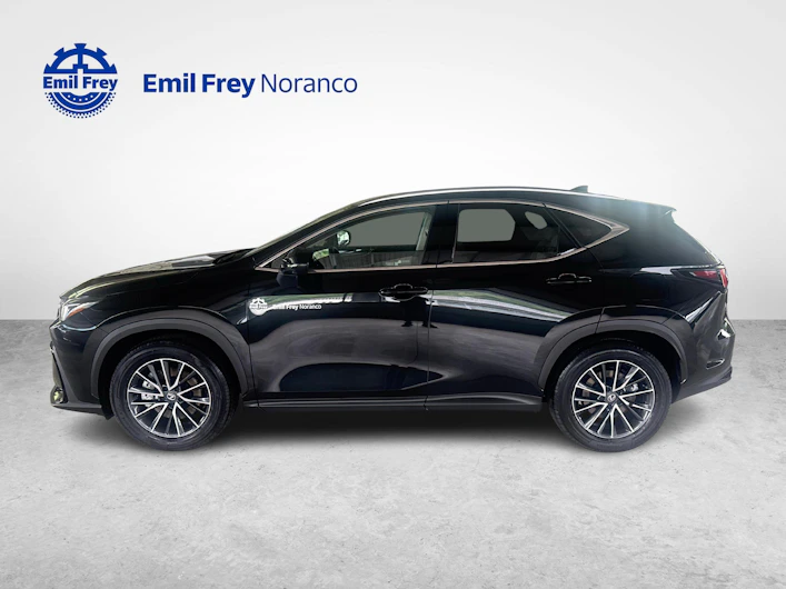 Fahrzeugbild LEXUS NX