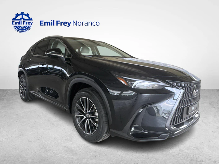 Fahrzeugbild LEXUS NX