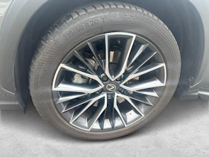 Fahrzeugbild LEXUS NX 450h+ Excellence