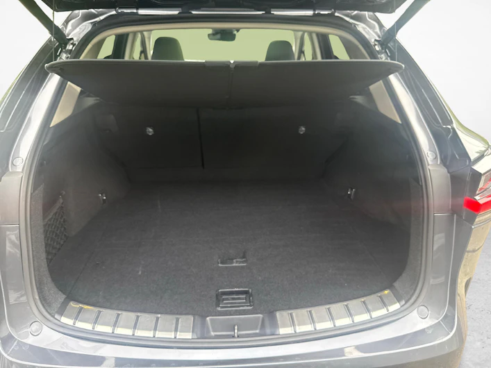 Fahrzeugbild LEXUS NX