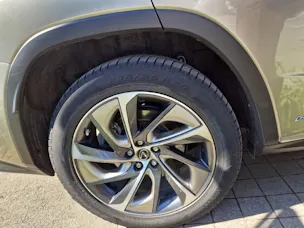 Lexus RX 450h Excellence