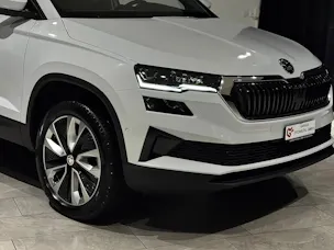 Škoda Karoq 2.0 TDI CR Style 4x4 DSG | AHK 2100Kg | 1.Hand