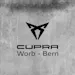 Cupra Ateca 2.0TSI VZ Cup 360 4Drive DSG Akrapovic Black Edition