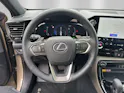 Lexus NX 450h+ Overtrail