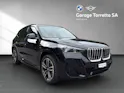 BMW X1 30e xDrive paddles