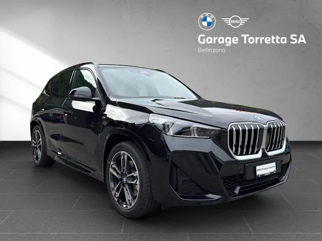 BMW X1 30e xDrive paddles