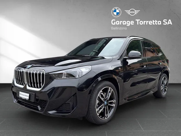 BMW X1 30e xDrive paddles