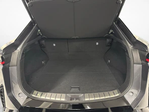 Fahrzeugbild LEXUS RZ 550e F Sport