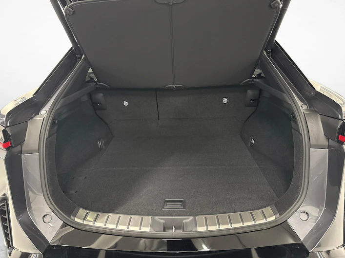 Fahrzeugbild LEXUS RZ