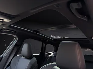 BMW X1 25e xDrive paddles
