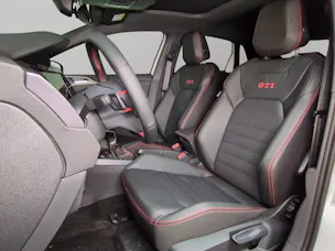 VW Polo 2.0 TSI GTI DSG