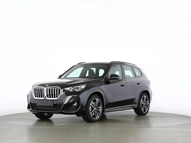 BMW X1 30e xDrive paddles