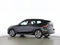 BMW X1 30e xDrive paddles