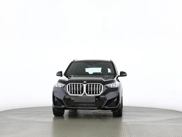 BMW X1 30e xDrive paddles