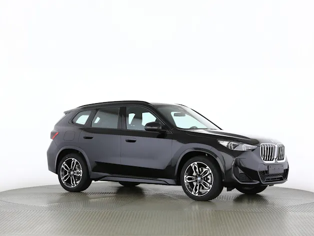 BMW X1 30e xDrive paddles