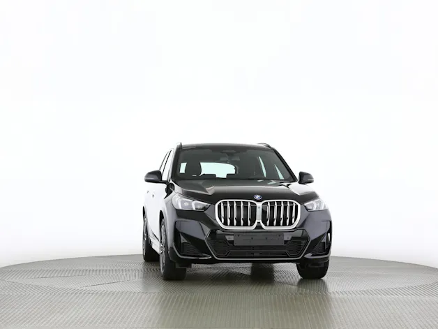 BMW X1 30e xDrive paddles