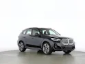 BMW X1 30e xDrive paddles