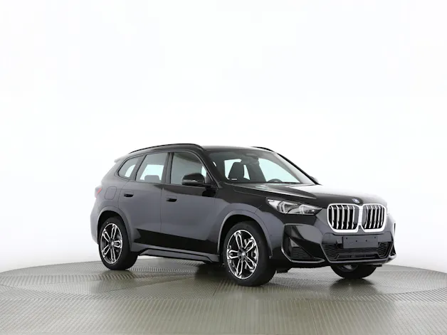BMW X1 30e xDrive paddles
