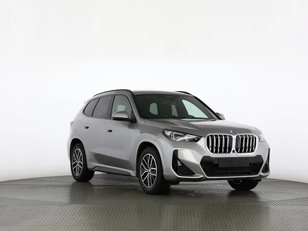BMW X1 30e xDrive paddles