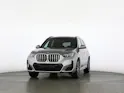 BMW X1 30e xDrive paddles